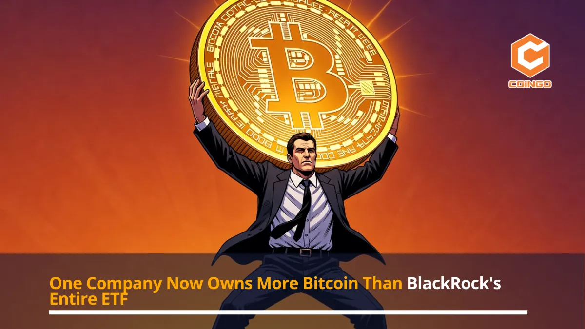 One Company Now Owns More Bitcoin Than BlackRock's Entire ETF