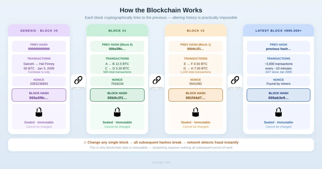 What is Bitcoin (BTC)? Understanding the Evolution of Decentralized Finance