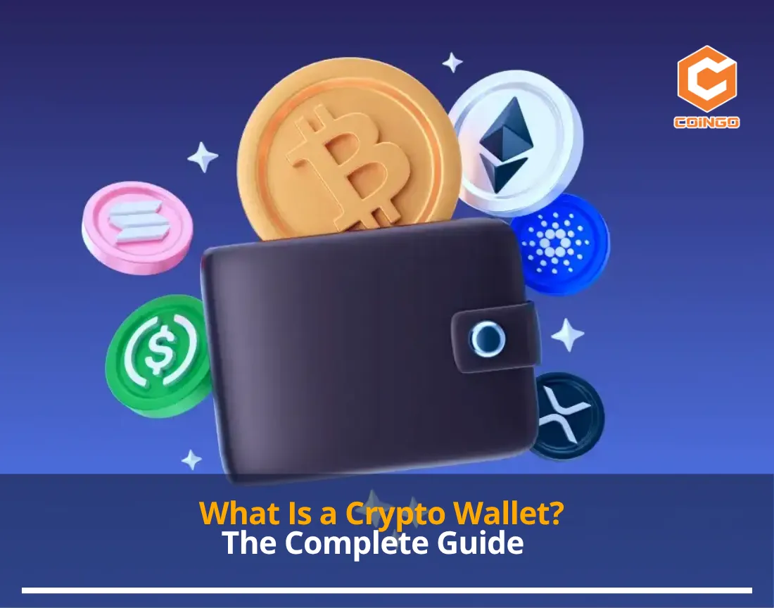 What Is a Crypto Wallet? The Complete Guide