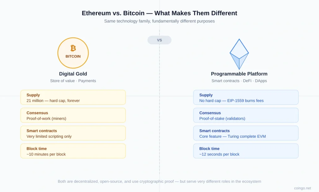 What Is Ethereum? The Programmable Blockchain Explained