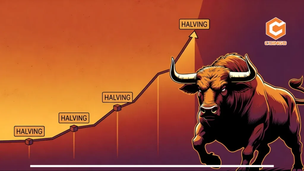 Bitcoin Halving History: How Each Cycle Affected Price