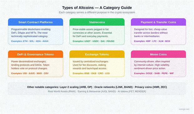 What Are Altcoins? Everything Beyond Bitcoin