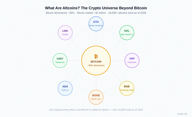 What Are Altcoins? Everything Beyond Bitcoin
