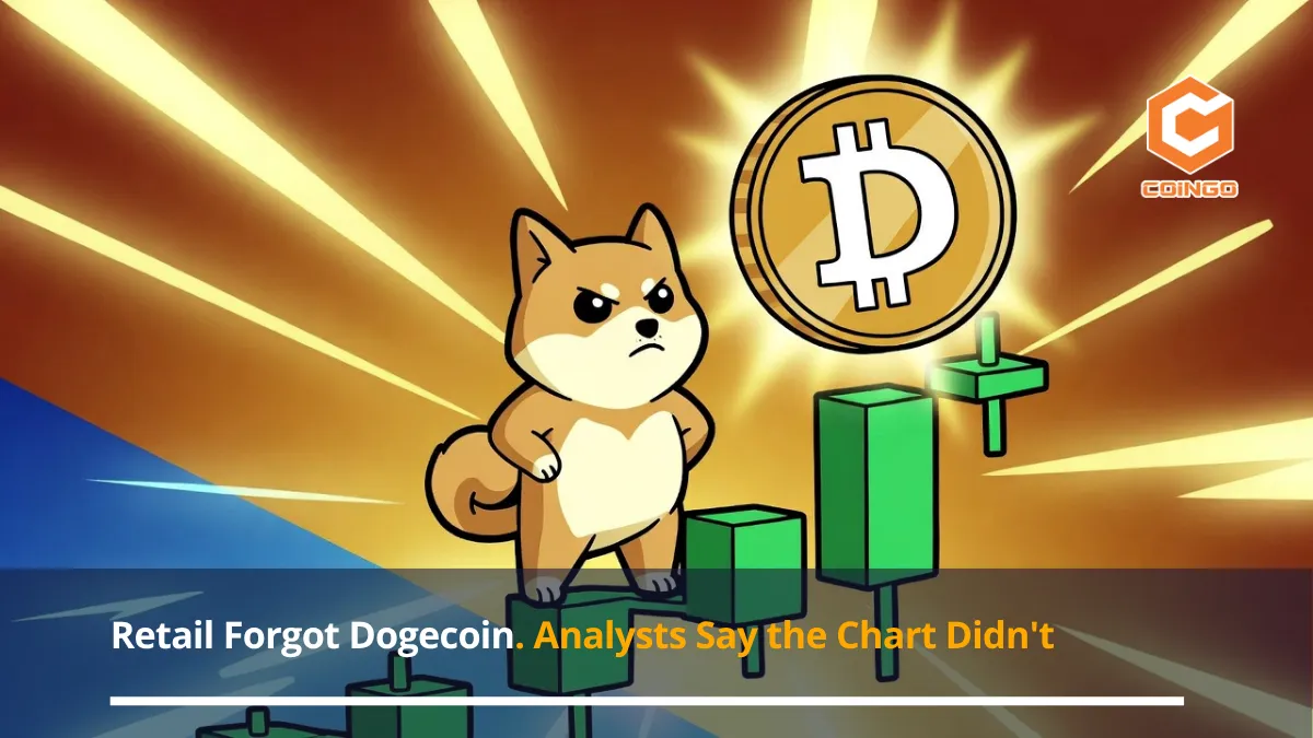 Retail Forgot Dogecoin. Analysts Say the Chart Didn't