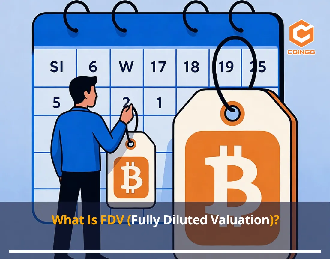 What Is FDV (Fully Diluted Valuation)?