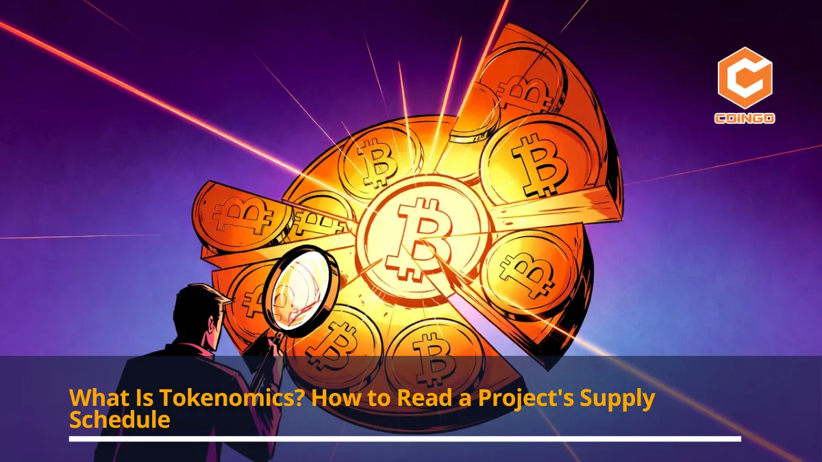 What Is Tokenomics? How to Read a Project's Supply Schedule