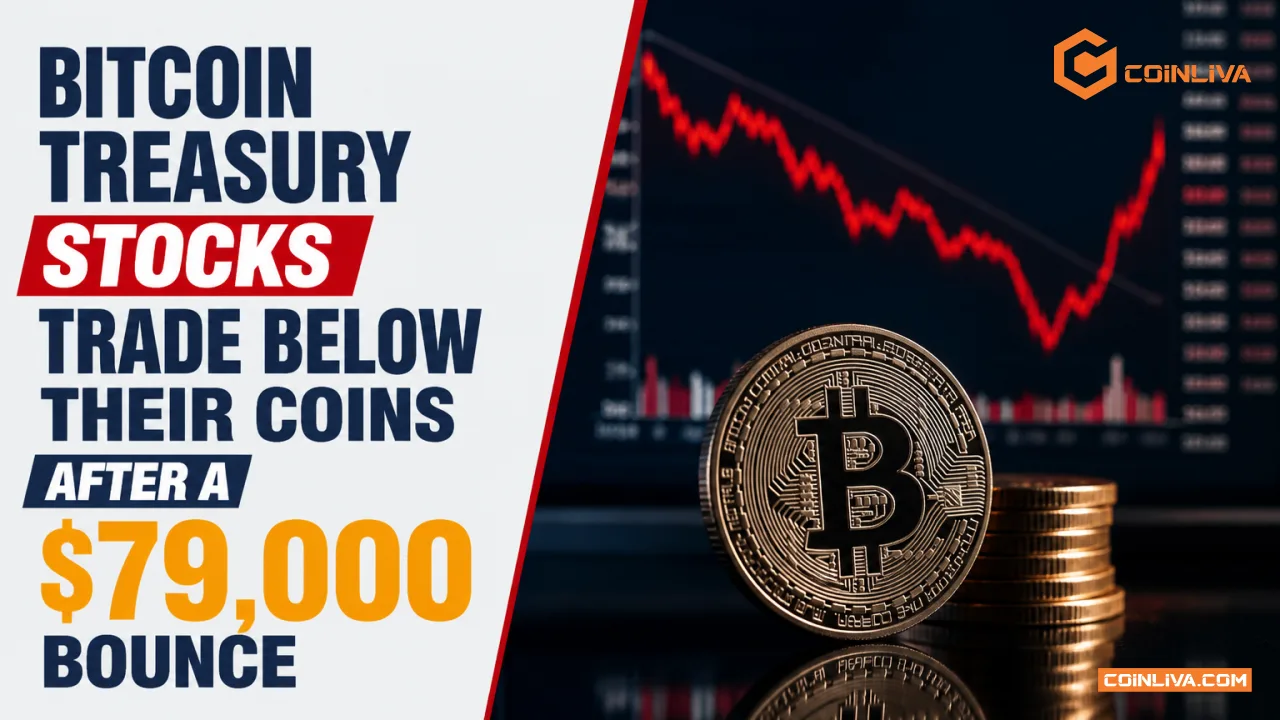 Bitcoin Treasury Stocks Trade Below Their Coins After a $79,000 Bounce