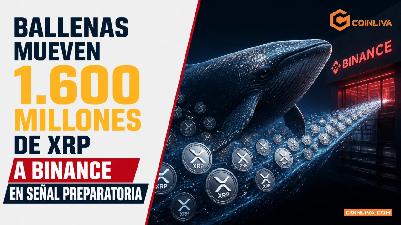 Ballenas mueven 1.600 millones de XRP a Binance en señal preparatoria