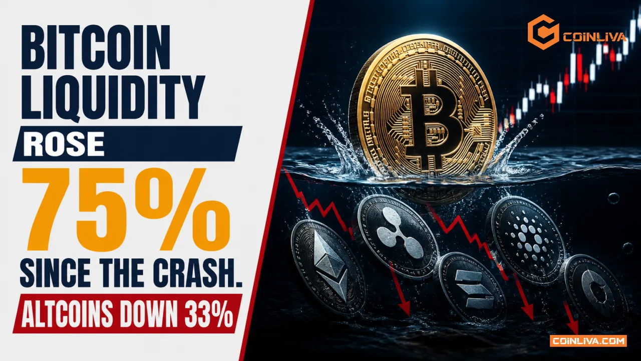 Bitcoin Liquidity Rose 75% Since the Crash. Altcoins Down 33%