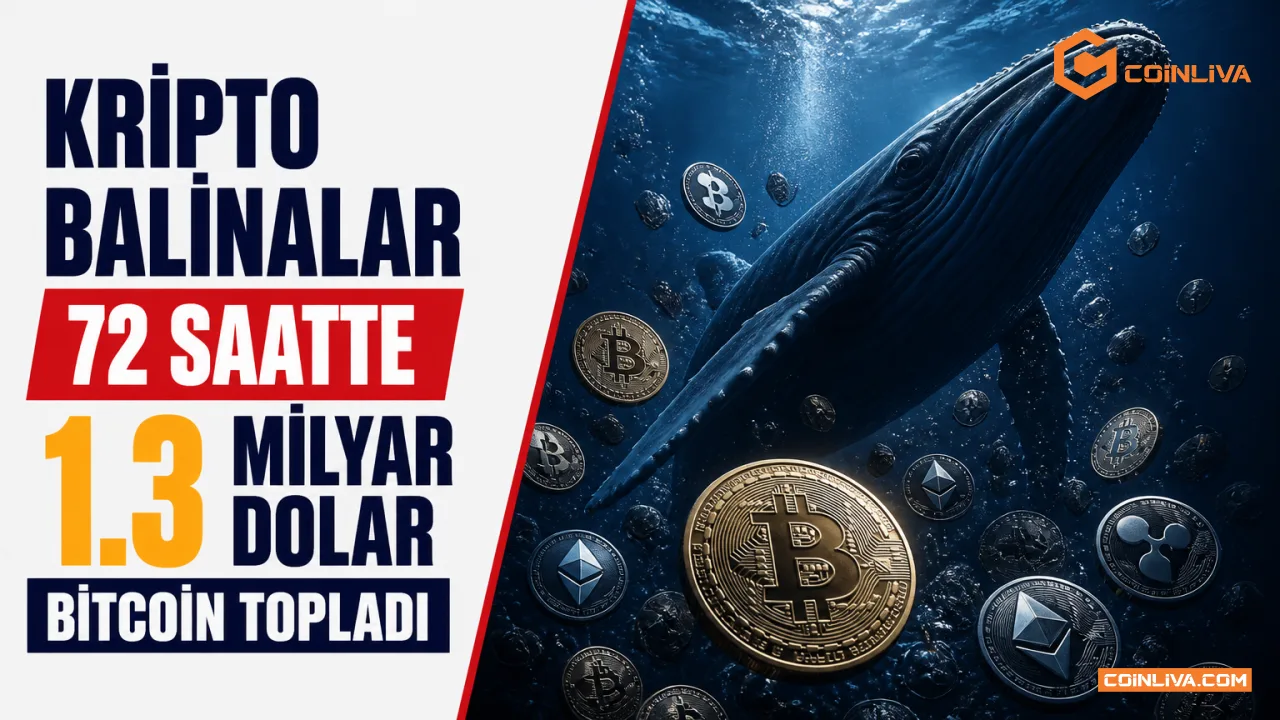 Kripto Balinalar 72 Saatte 1.3 Milyar Dolar Bitcoin Topladı